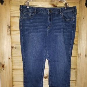Lane Bryant Skinny Jeans 24w